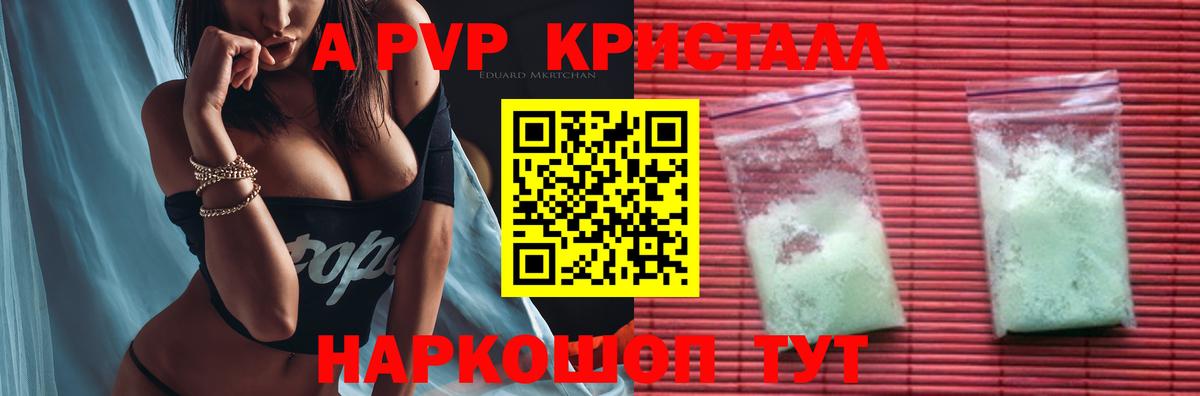 A PVP СК КРИС Нововоронеж