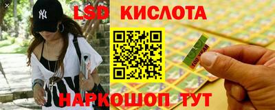 прущие грибы Гусев