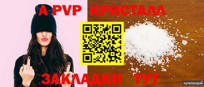 прущие грибы Гусев