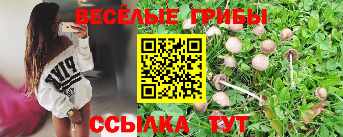 Нововоронеж  Галлюциногенные грибы прущие грибы  Вход с VPN 
